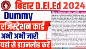 Bihar DELED Dummy Registration Card 2024