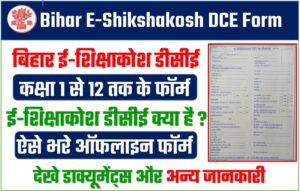 Bihar E-Shikshakosh DCE Form
